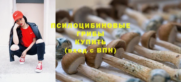 дживик Медногорск