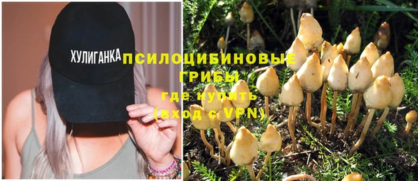 дживик Медногорск