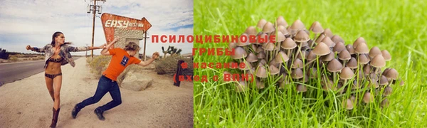 гидропоника Мегион