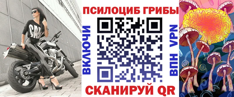 купить  цена  Ковдор  Псилоцибиновые грибы ЛСД 