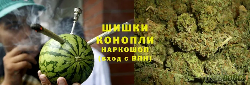 Конопля SATIVA & INDICA  Ковдор 